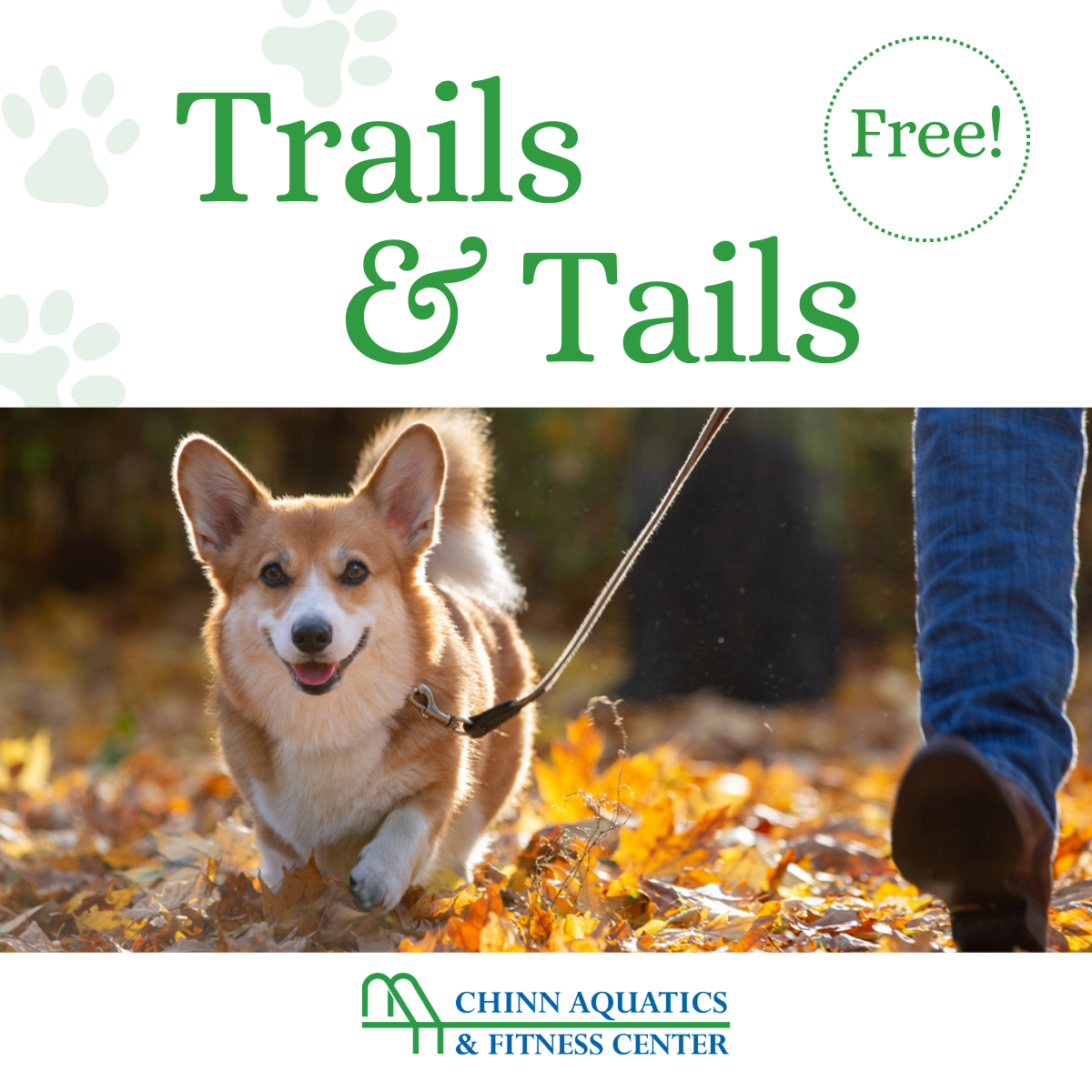 Trails & Tails